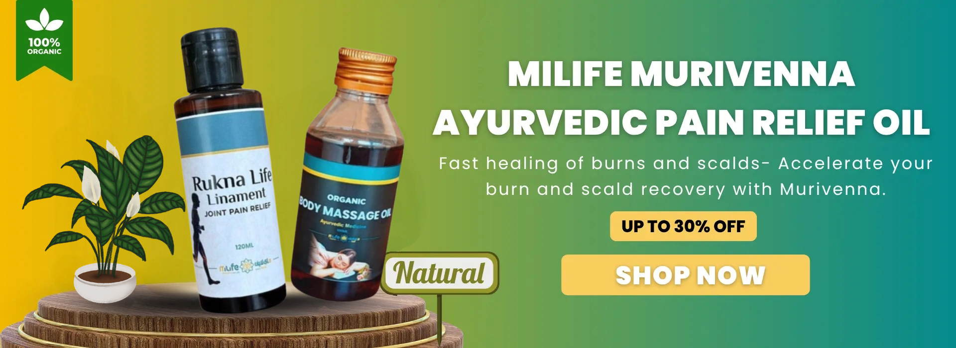 Untitled design (14)